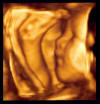 8.jpg (203239 bytes)